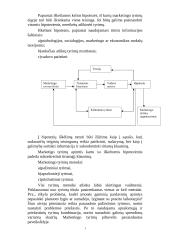 Marketingo tyrimas 11 puslapis