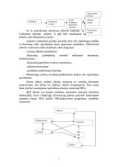 Marketingo tyrimas 12 puslapis