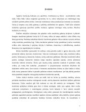 Muzikinė veikla kaip naujų žinių formavimas 2 puslapis