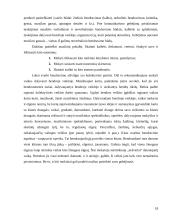 Muzikinė veikla kaip naujų žinių formavimas 13 puslapis