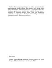 Martynas Mažvydas – pirmasis raštijos pradininkas 5 puslapis