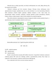 Nekilnojamojo turto vertinimas apmokestinimui 19 puslapis