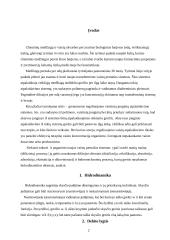 Masės pernaša ir hidrodinaminių procesų analizė šiuolaikinėse vaistų gamybos sistemose 2 puslapis