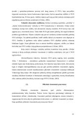 Nevyriausybinių organizacijų (NVO) ir valdžios santykiai 14 puslapis