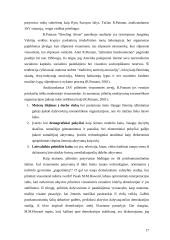 Nevyriausybinių organizacijų (NVO) ir valdžios santykiai 17 puslapis