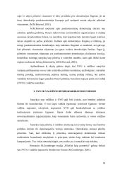 Nevyriausybinių organizacijų (NVO) ir valdžios santykiai 18 puslapis