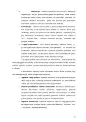 Nevyriausybinių organizacijų (NVO) ir valdžios santykiai 19 puslapis