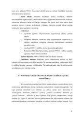 Nevyriausybinių organizacijų (NVO) ir valdžios santykiai 3 puslapis