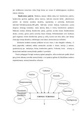 Paauglio statusas klasėje kaip socialinis pedagoginis fenomenas 15 puslapis