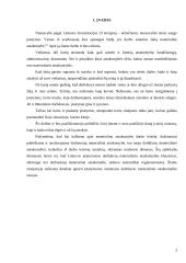 Darbuotojo ir darbdavio materialinės atsakomybės samprata 2 puslapis