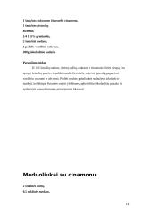 Natūralus ir dirbtinis medus 14 puslapis