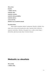 Natūralus ir dirbtinis medus 15 puslapis