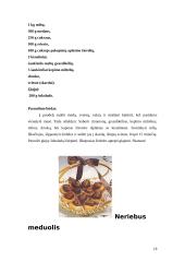 Natūralus ir dirbtinis medus 18 puslapis