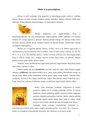 Medus ir jo panaudojimas 1 puslapis