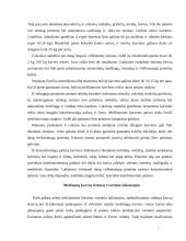 Melžiamų karvių šėrimas 7 puslapis