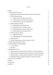 Priemonės miškų būklei gerinti: Gegužinės ir Paežerio girininkijos 2 puslapis