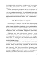 Priemonės miškų būklei gerinti: Gegužinės ir Paežerio girininkijos 11 puslapis