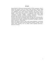 Meninio ugdymo svarba ir rūšys 2 puslapis