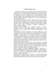 Meninio ugdymo svarba ir rūšys 3 puslapis