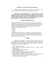 Meninio ugdymo svarba ir rūšys 4 puslapis