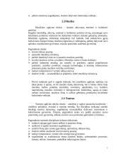 Meninio ugdymo svarba ir rūšys 5 puslapis