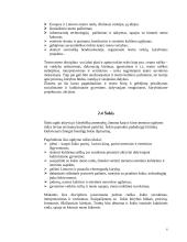 Meninio ugdymo svarba ir rūšys 6 puslapis