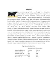 Mėsinių galvijų genetiniai ištekliai Lietuvoje ir pasaulyje 5 puslapis