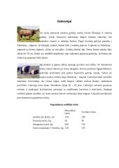 Mėsinių galvijų genetiniai ištekliai Lietuvoje ir pasaulyje 6 puslapis