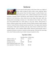 Mėsinių galvijų genetiniai ištekliai Lietuvoje ir pasaulyje 9 puslapis