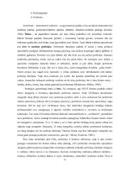 Profesijos pasirinkimas bei to sunkumai 20 puslapis