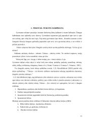 Prozos teksto analizė pagrindinėje mokykloje 13 puslapis