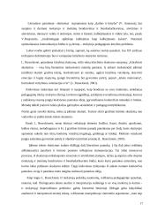 Prozos teksto analizė pagrindinėje mokykloje 17 puslapis