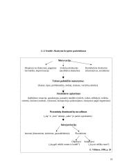 Prozos teksto analizė pagrindinėje mokykloje 19 puslapis