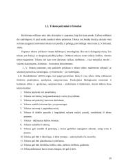 Prozos teksto analizė pagrindinėje mokykloje 20 puslapis