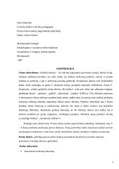 Prozos teksto analizė pagrindinėje mokykloje 3 puslapis