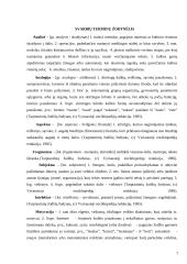 Prozos teksto analizė pagrindinėje mokykloje 7 puslapis