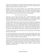 Miestų savivaldos institucijų teisinis reglamentavimas 5 puslapis