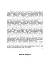 Mikrobai aplink mus: bakterijos 4 puslapis