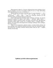 Mikrobai aplink mus: bakterijos 8 puslapis