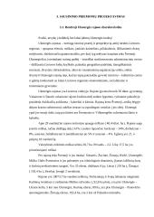 Sausinimo priemonių projektavimas poilsiavietėje prie Kadrėnų tvenkinio 11 puslapis