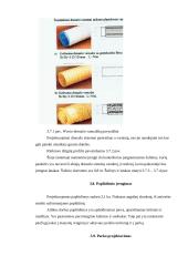 Sausinimo priemonių projektavimas poilsiavietėje prie Kadrėnų tvenkinio 17 puslapis