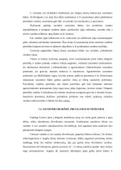 Sausinimo priemonių projektavimas poilsiavietėje prie Kadrėnų tvenkinio 4 puslapis