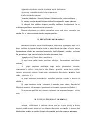 Sausinimo priemonių projektavimas poilsiavietėje prie Kadrėnų tvenkinio 7 puslapis