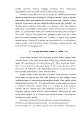 Sausinimo priemonių projektavimas poilsiavietėje prie Kadrėnų tvenkinio 9 puslapis