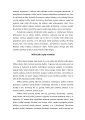 Miškingumo pagrindimas kraštovaizdžio ir aplinkos apsaugos požiūriu 8 puslapis