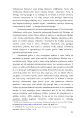 Seimo kontrolieriai kaip konstitucinis žmogaus teisių gynimo institutas 20 puslapis