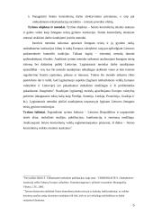 Seimo kontrolieriai kaip konstitucinis žmogaus teisių gynimo institutas 5 puslapis