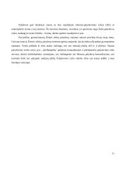 Mobilusis satelitinis ryšys 11 puslapis