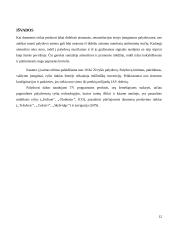 Mobilusis satelitinis ryšys 12 puslapis