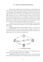 Sezoninės augalų dekoratyvumo kaitos tyrimai želdynuose 11 puslapis